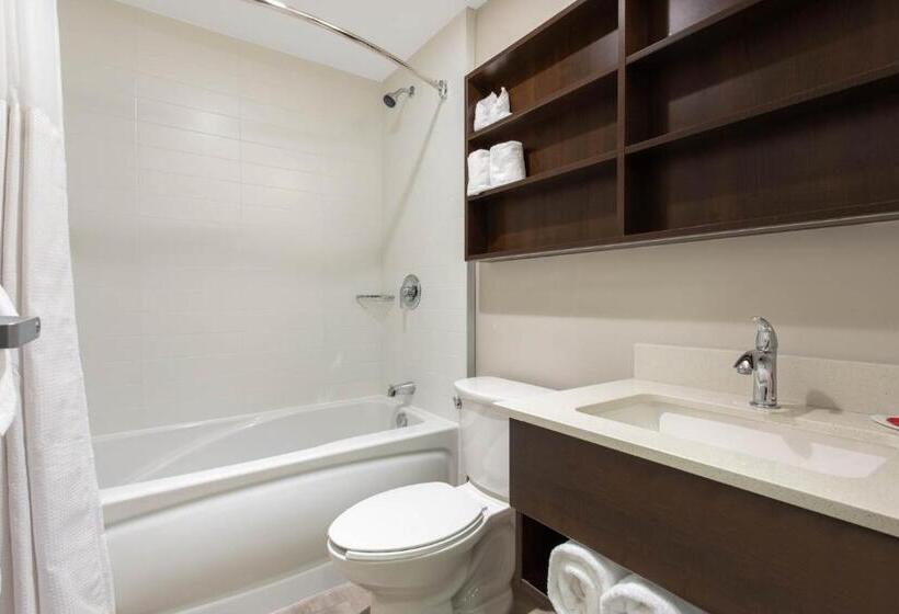 デラックスルーム, Microtel Inn & Suites By Wyndham Mont Tremblant