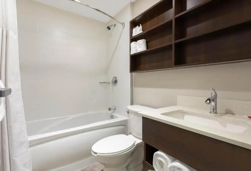 デラックスルーム, Microtel Inn & Suites By Wyndham Mont Tremblant