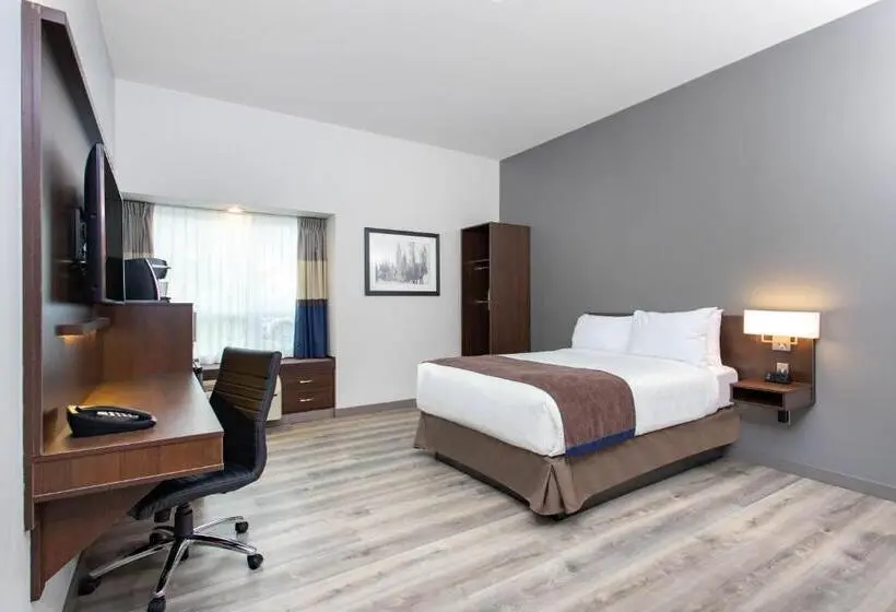 身障者適用スタンダードルーム, Microtel Inn & Suites By Wyndham Mont Tremblant