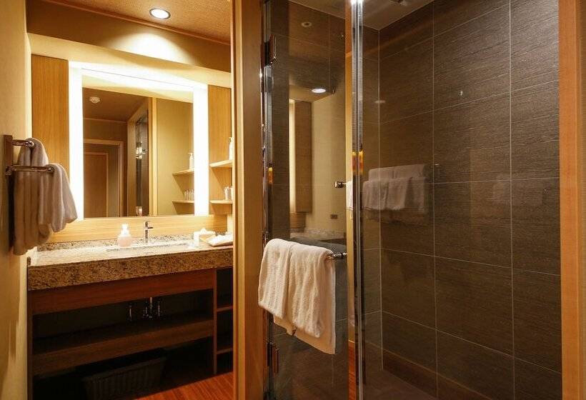 غرفة قياسية, The Shiroyama Terrace Tsuyama Villa