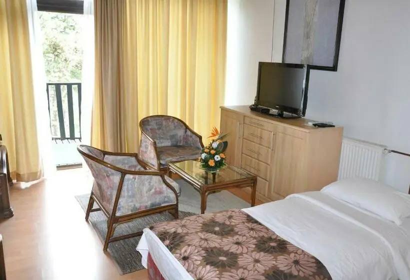 Economy Triple Room, Simpo Pržar