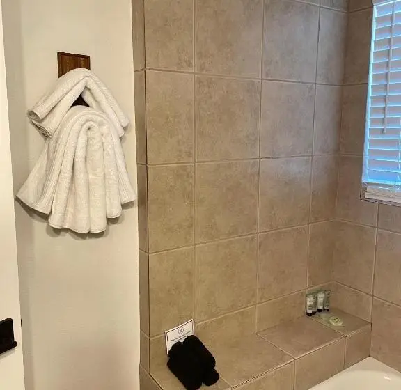 バルコニー付き１ベッドルームアパートメント, Blanco County Inn & Guesthouses