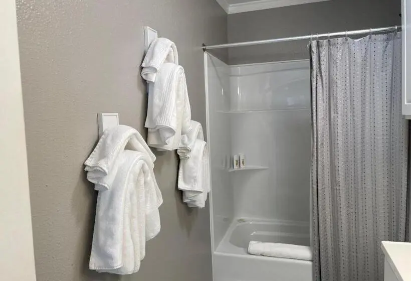 ツーベッドルーム　ヴィラ, Blanco County Inn & Guesthouses