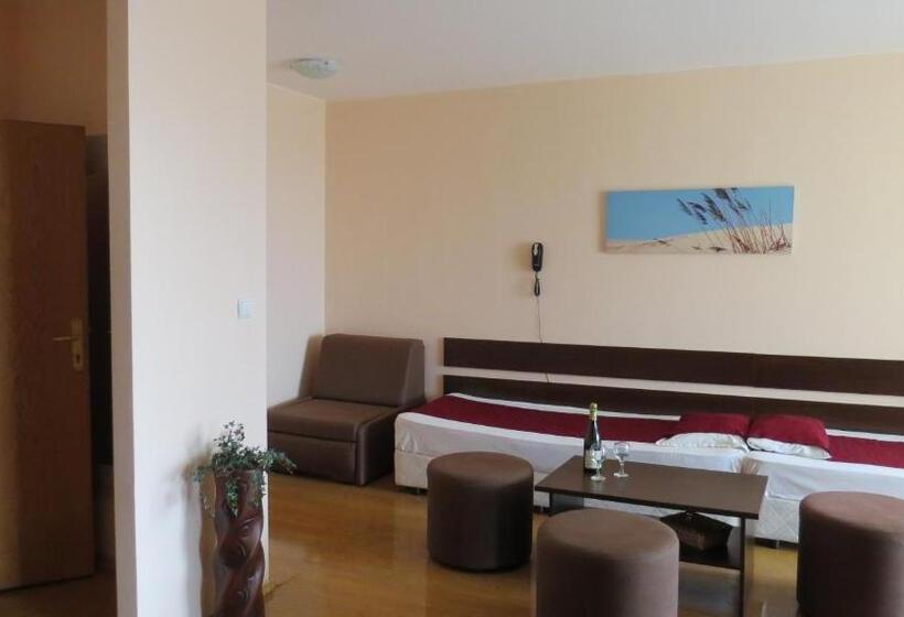 １ベッドルームアパートメント, Apart Hotel Vechna R