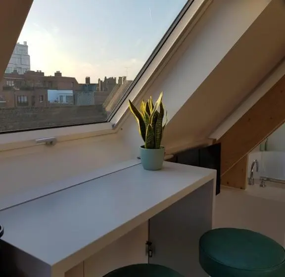 テラス付きスタンダードワンルーム, Homey   Kortrijk