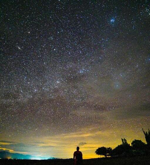 اتاق استاندارد, Payande  Tatacoa