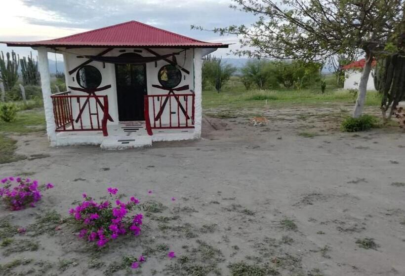 اتاق استاندارد, Payande  Tatacoa