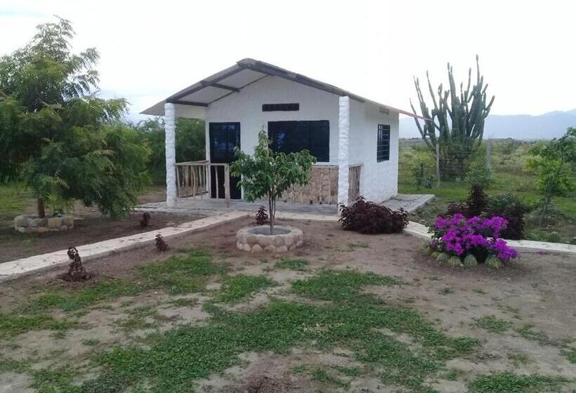 اتاق خانوادگی, Payande  Tatacoa