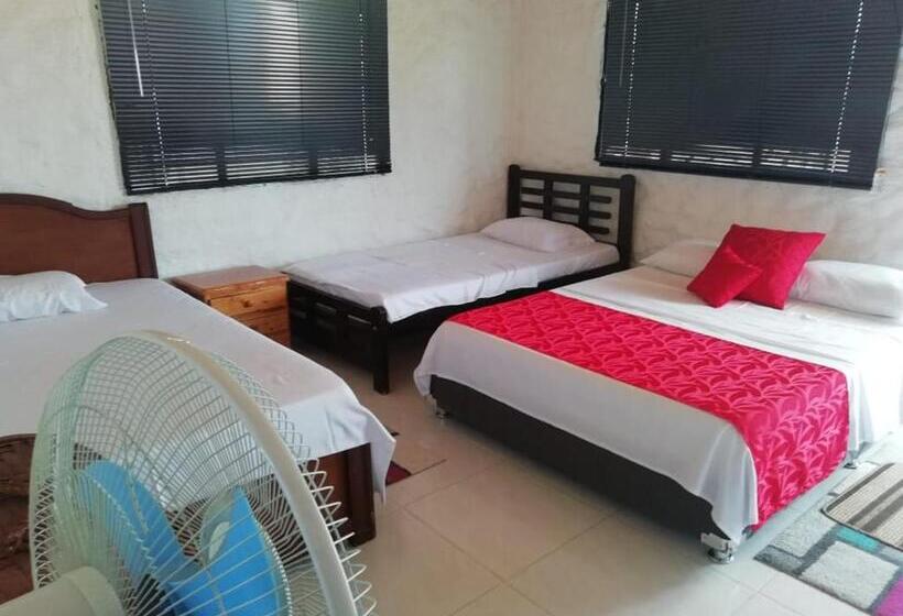 اتاق خانوادگی, Payande  Tatacoa