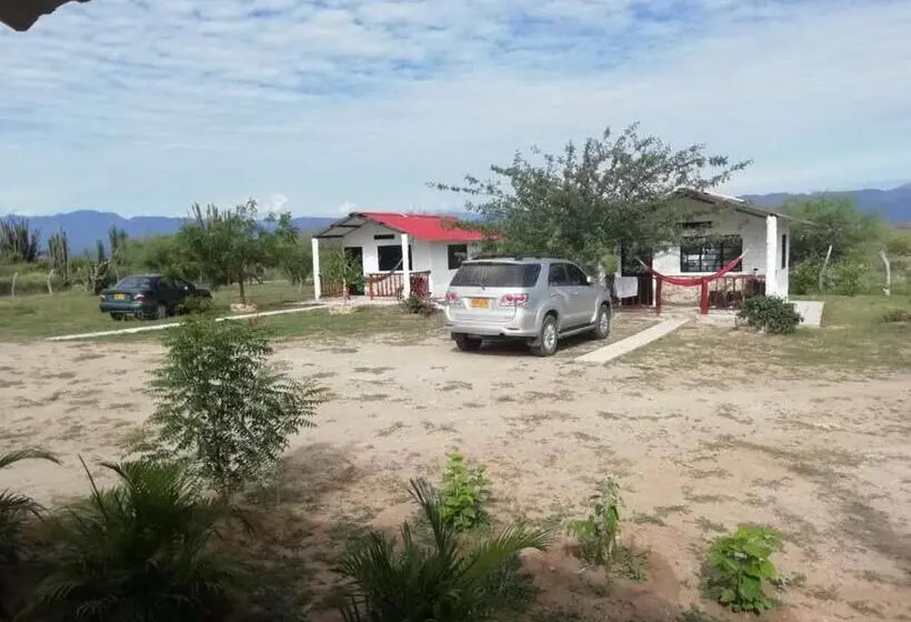 ファミリールーム, Payande  Tatacoa