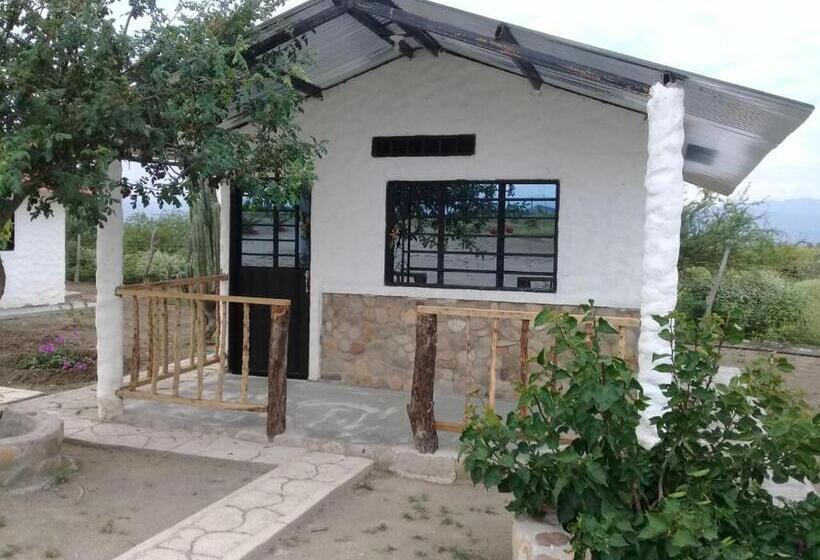 اتاق خانوادگی, Payande  Tatacoa