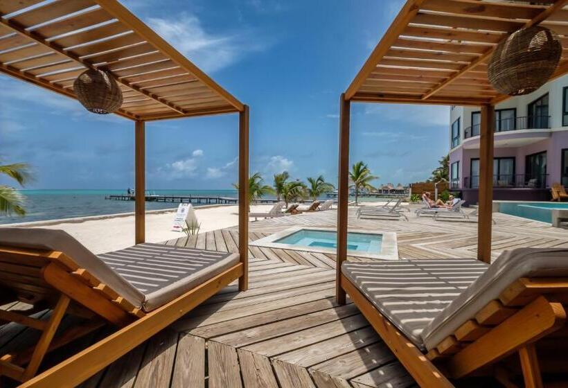 סוויטת דלוקס נוף לים, Diamante Beachfront Suites