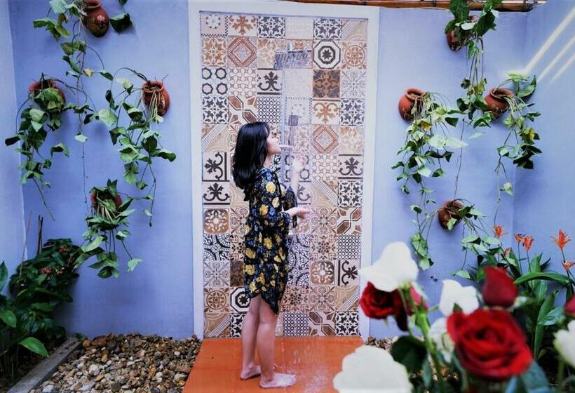 اتاق لوکس, Commander Lodge