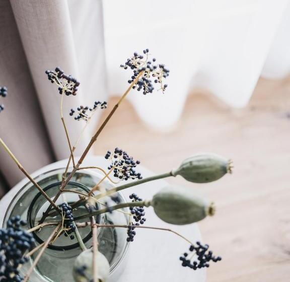 Номер Стандарт, Vaya Fieberbrunn