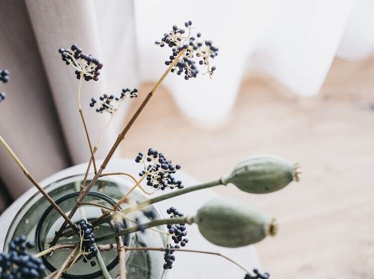 Номер Стандарт Индивидуальный, Vaya Fieberbrunn