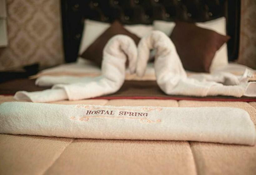 اتاق استاندارد, Hostal Spring Ii