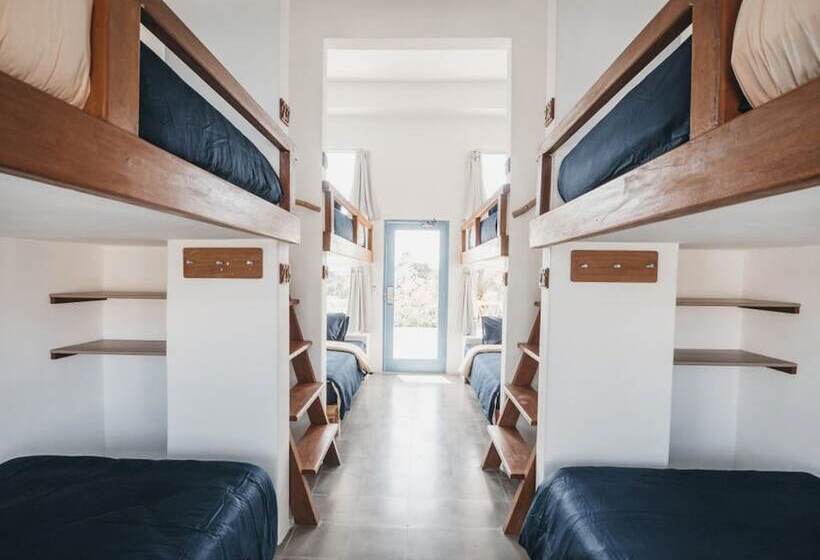 تختخواب در اتاق مشترک, Kos One Hostel