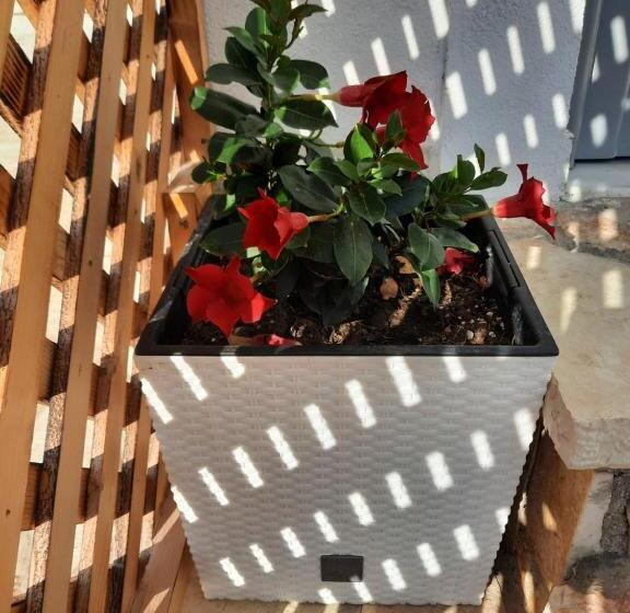 חדר סטנדרט לשלושה, Eduard Lagji Apartament