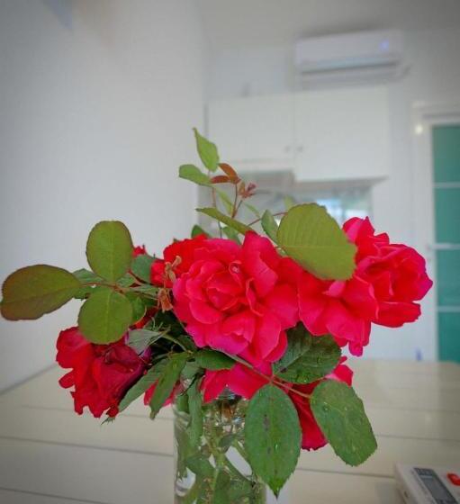 חדר סטנדרט לשלושה, Eduard Lagji Apartament