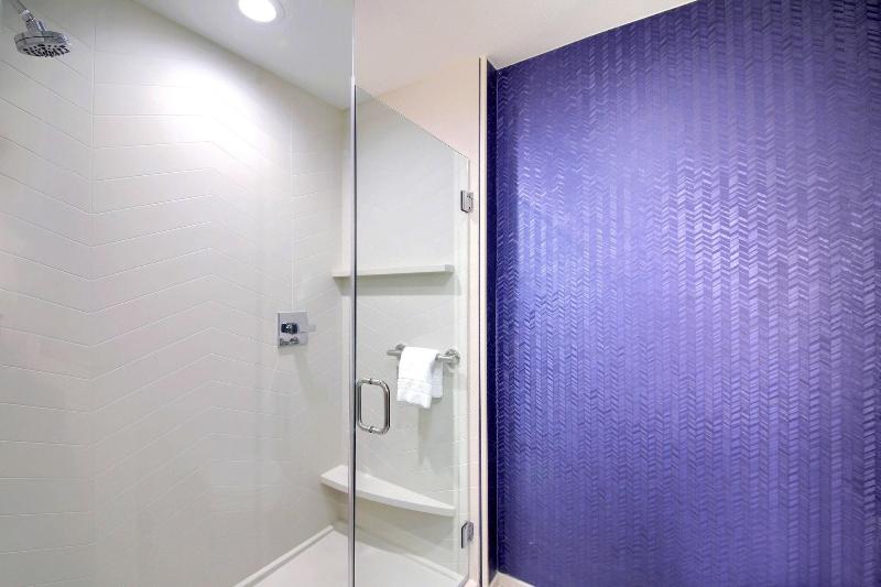 带大床的标准间, Fairfield Inn & Suites By Marriott Dallas Cedar Hill