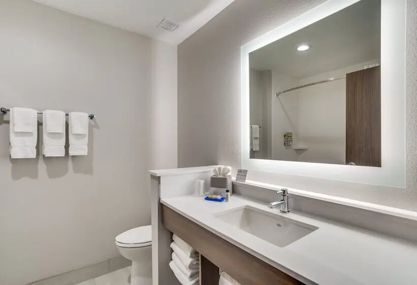 スタンダードルーム, Holiday Inn Express & Suites   Denton South, An Ihg