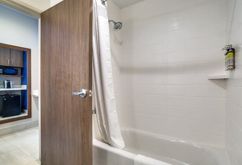 适合残疾人士使用的套间, Holiday Inn Express & Suites   Denton South, An Ihg