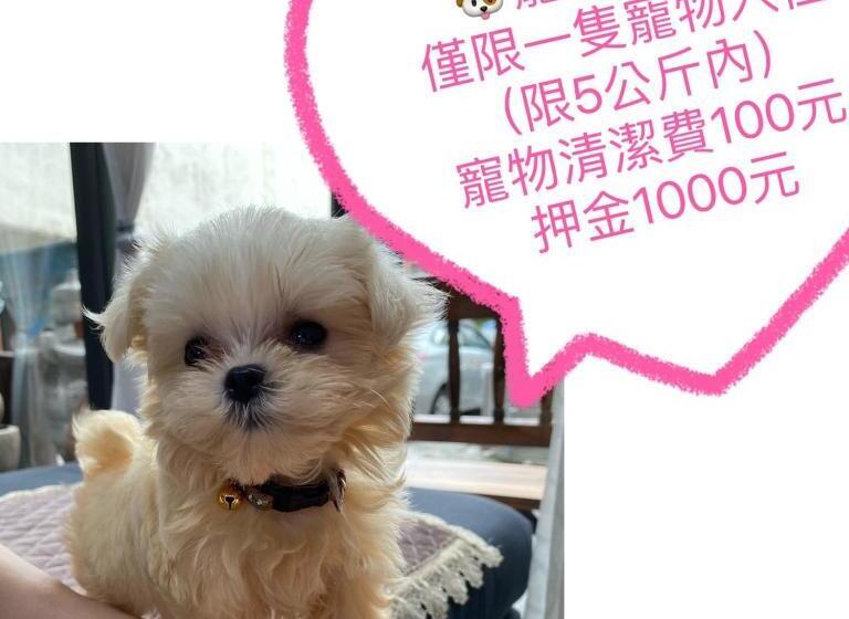 اتاق استاندارد چهار تخته, Jinguann B&b