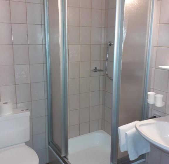 Апартаменты 1 Спальня, Gästehaus Birkenheim