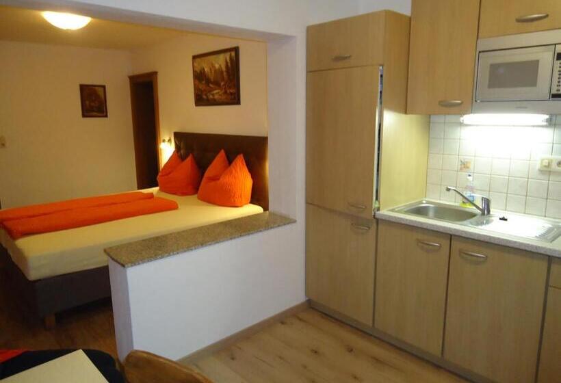 침실 1개 아파트, Gästehaus Birkenheim