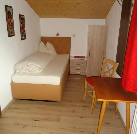 스탠다드 싱글 룸, Gästehaus Birkenheim