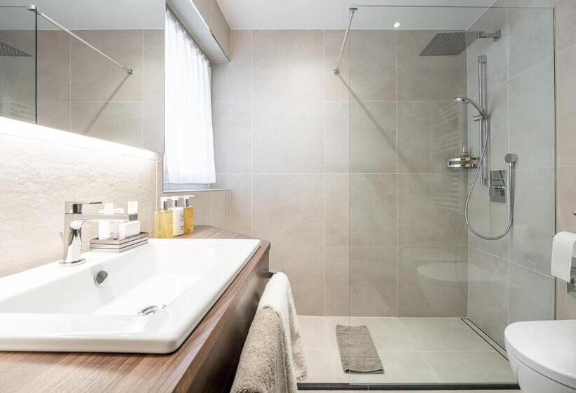 Номер Deluxe, Arya Alpine Lodge