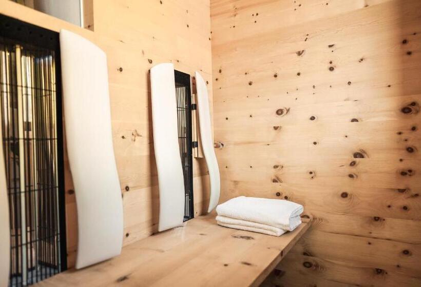 Полулюкс, Arya Alpine Lodge