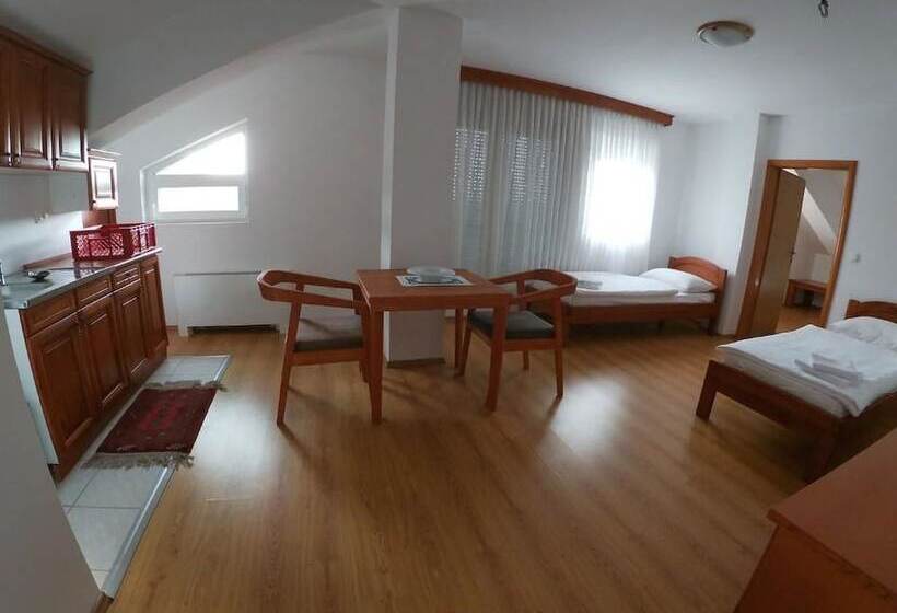 استودیوی استاندارد, Bagaric