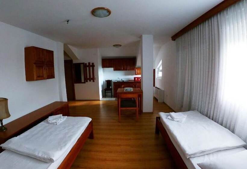 استودیوی استاندارد, Bagaric