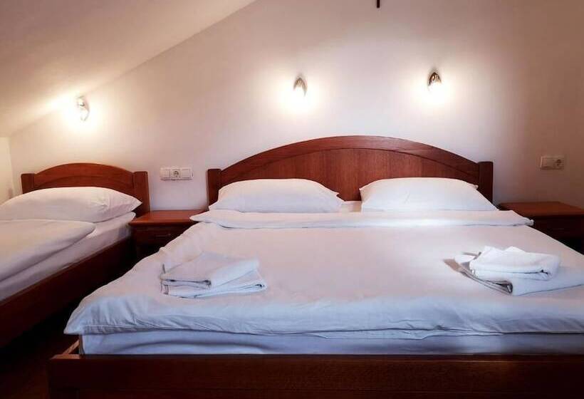 استودیوی استاندارد, Bagaric