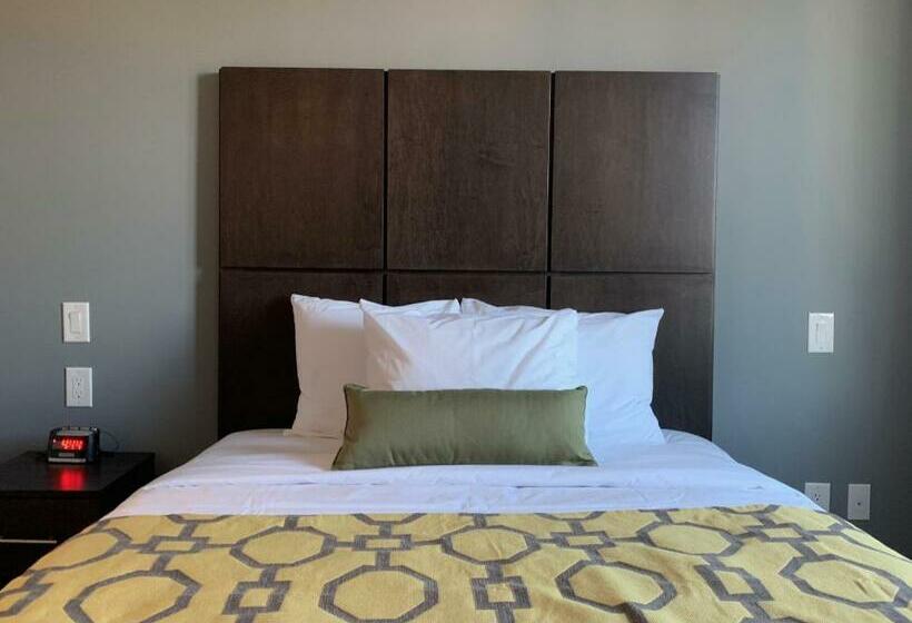 스탠다드 룸, Voyage