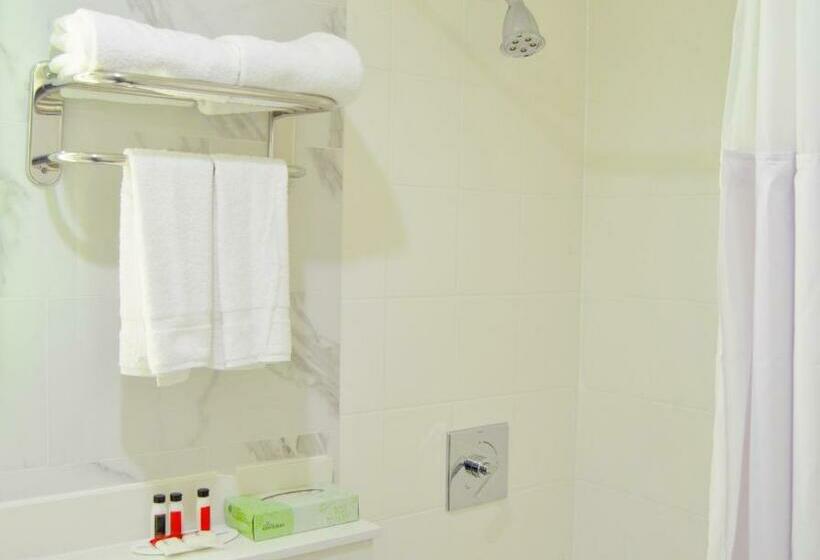 스탠다드 룸, Voyage