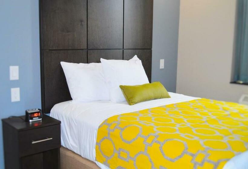 스탠다드 룸, Voyage