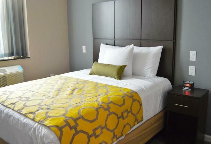 스탠다드 룸, Voyage