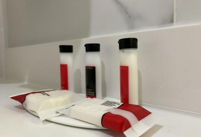 장애인을 위한 스탠다드 룸, Voyage