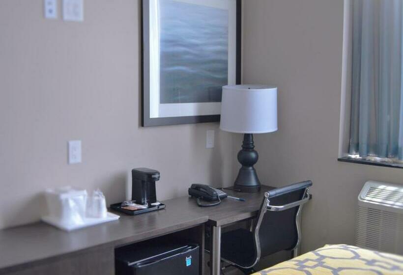 장애인을 위한 스탠다드 룸, Voyage