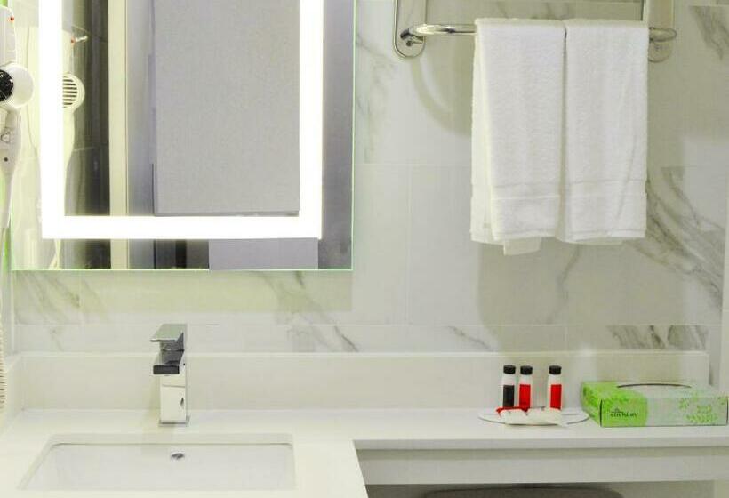 장애인을 위한 스탠다드 룸, Voyage