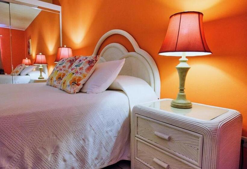 استودیوی استاندارد, Aruba Quality Apartments & Suites