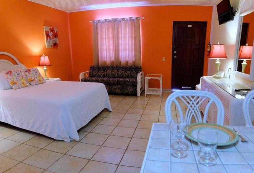 استودیوی استاندارد, Aruba Quality Apartments & Suites