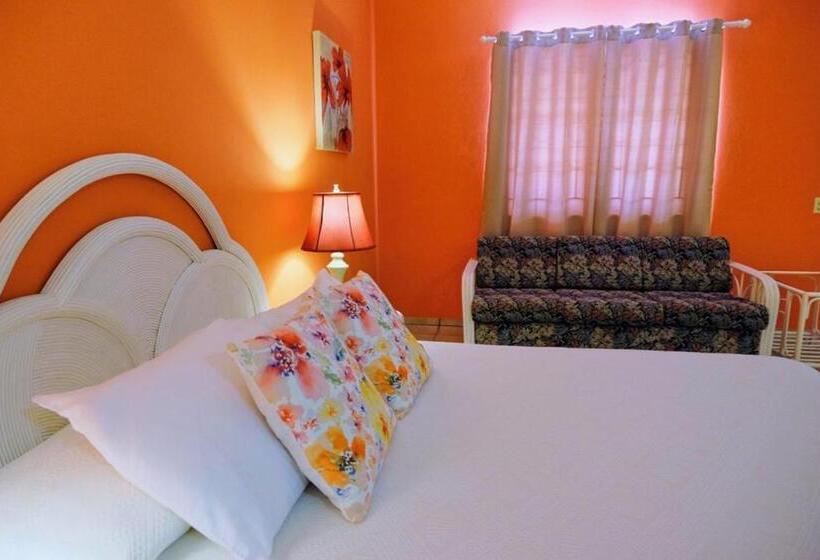 استودیوی استاندارد, Aruba Quality Apartments & Suites