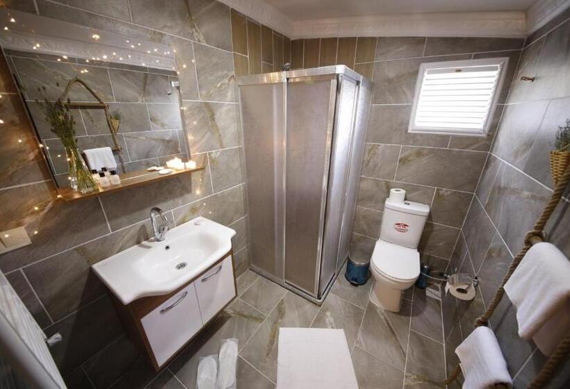 スタンダードルーム, Serinyer Dagevi