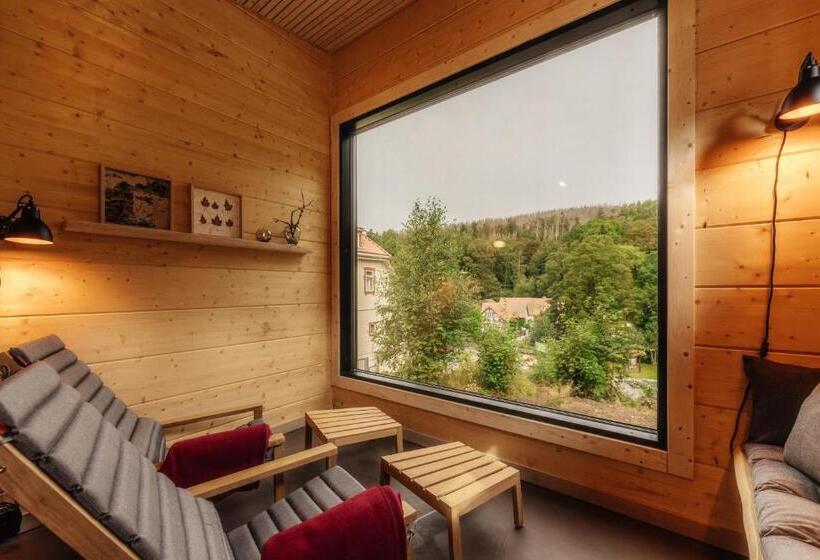 Бунгало Стандарт, Villa Bodeblick