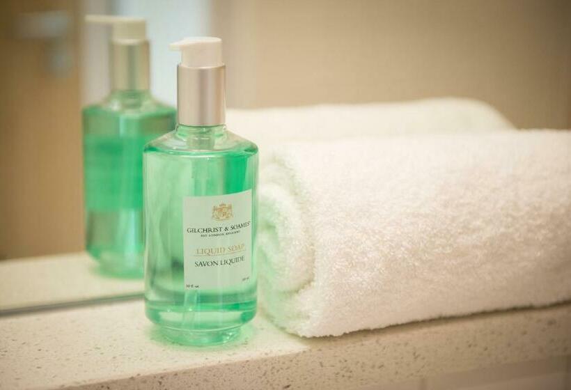 آپارتمان 1 خوابه با بالکن, West Court  Jesus College