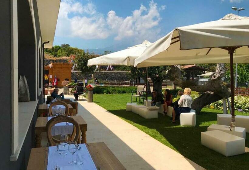 스탠다드 룸, Terra Di Venera