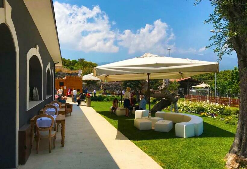 스탠다드 룸, Terra Di Venera